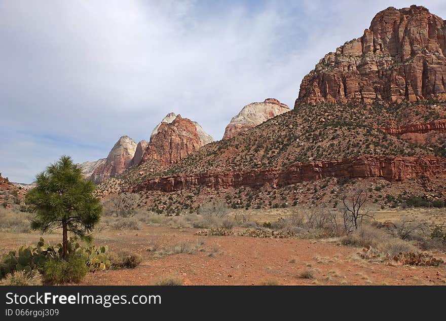 Zion National Park Landscape