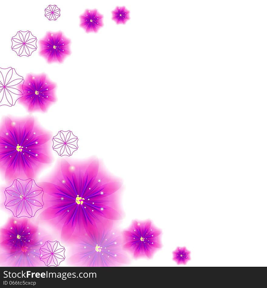 Beautiful pink flowers on a white background. Beautiful pink flowers on a white background