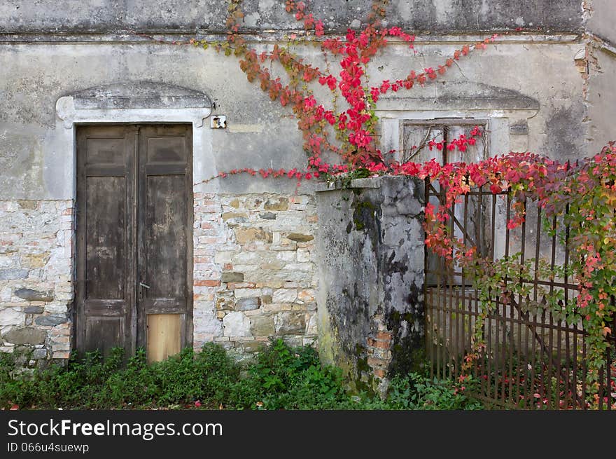 Front Door and Gate of an Old Building