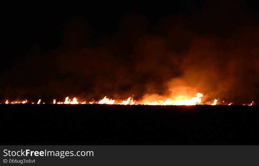 Night fire in the field