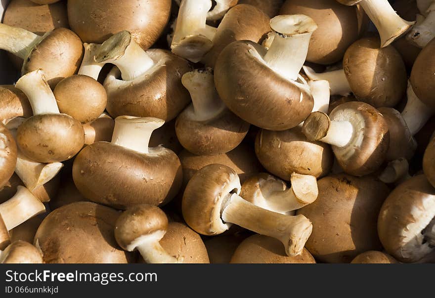 Fresh organic mushrooms at a local farmer's market. Fresh organic mushrooms at a local farmer's market