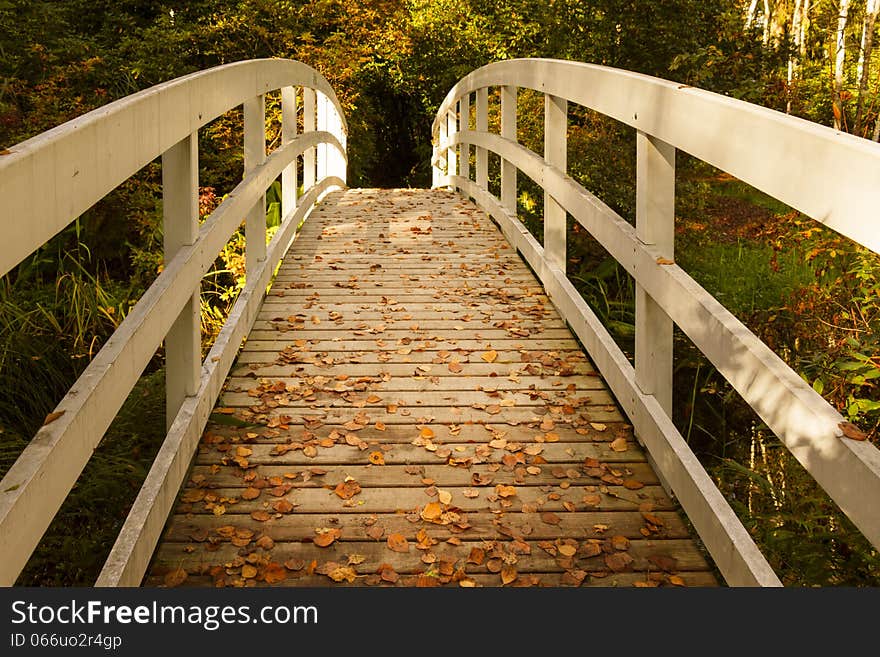 Wooden Bridge in the Park on an Autumn Day. Wooden Bridge in the Park on an Autumn Day