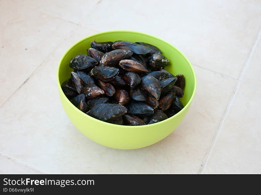 The Black Sea Fresh Mussels, Bulgaria