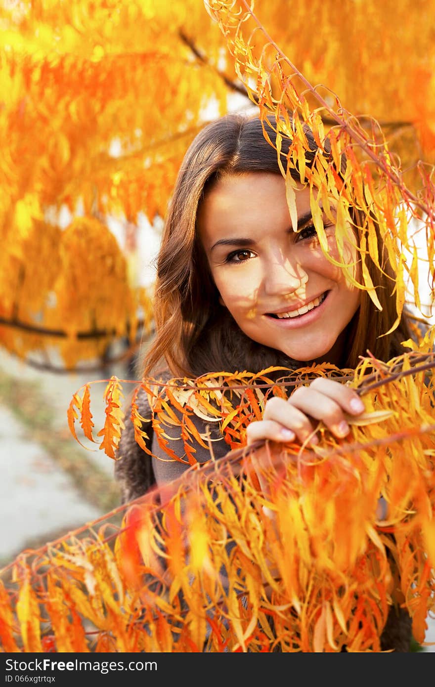 Beautiful Girl In Autumn Leaves