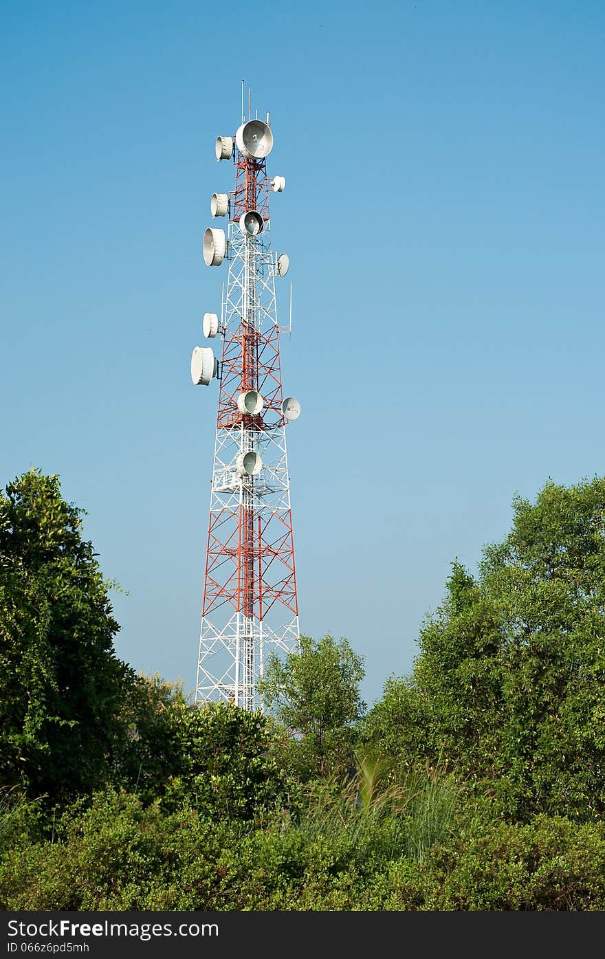 Microwave transmission tower with tree. Microwave transmission tower with tree.