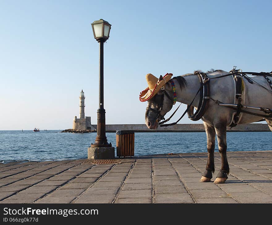 Horse In Hat On Sea Quay With Lighthouse