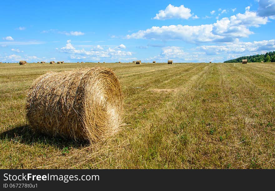 Large field after harvest. In the foreground round MOP of straw.