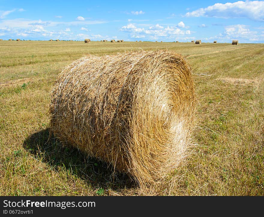 Large field after harvest. In the foreground round MOP