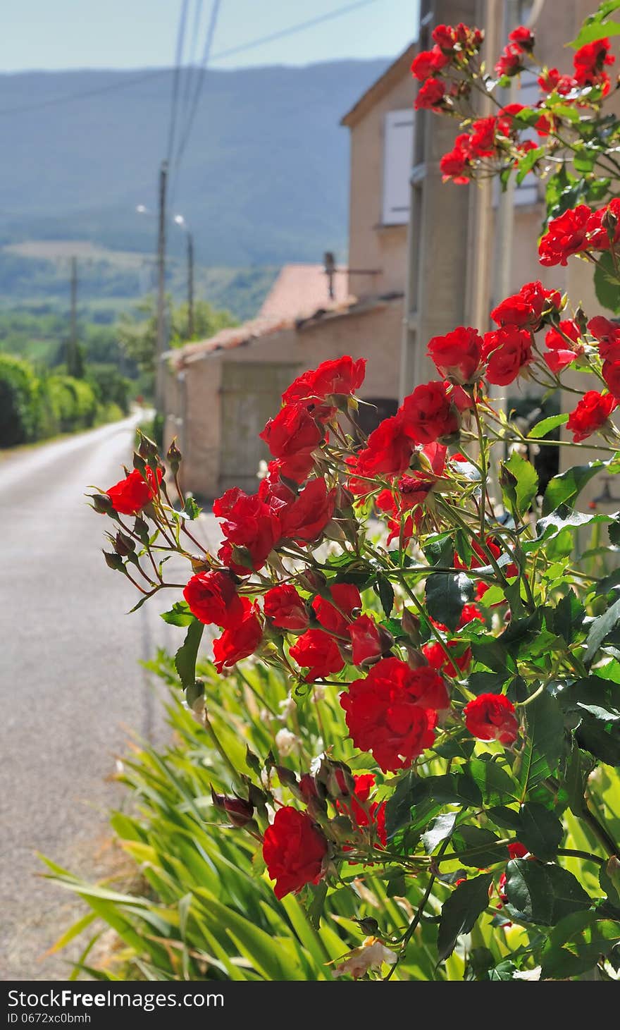 Flowered village