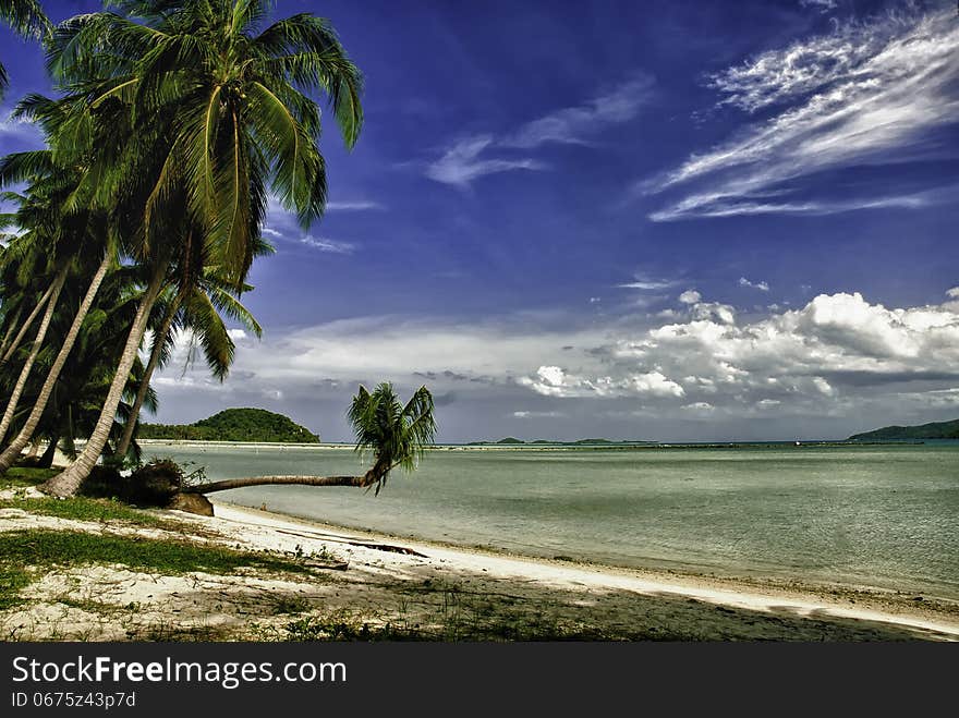 White sandy beach and palm trees. Paradise