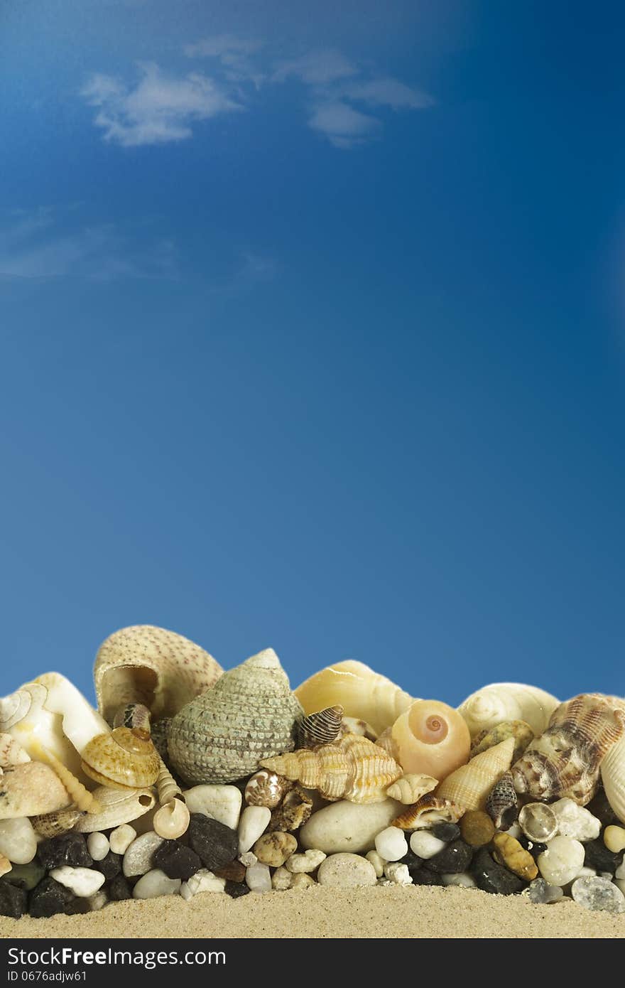 Sea shells with blue sky.