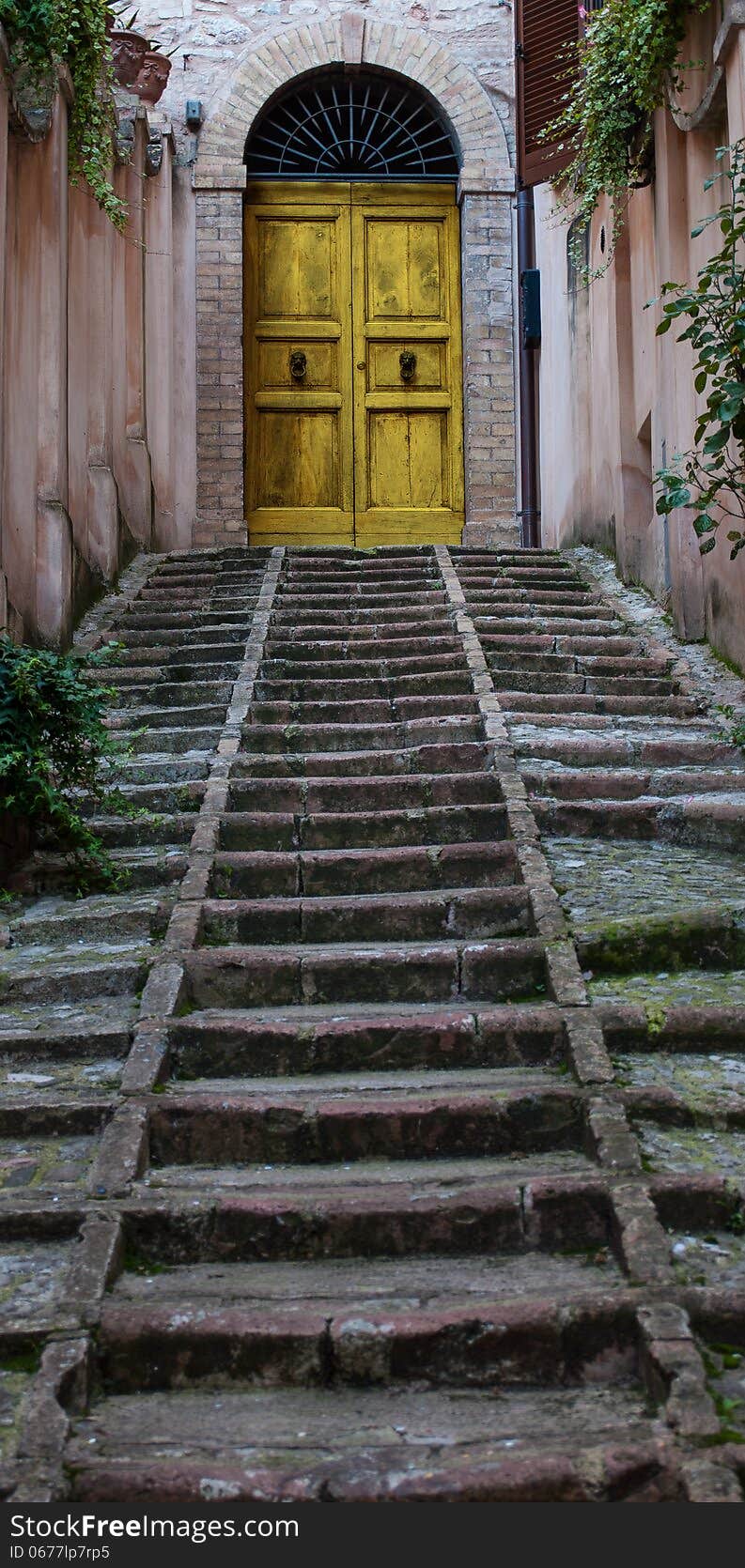 Stairs to door yellow