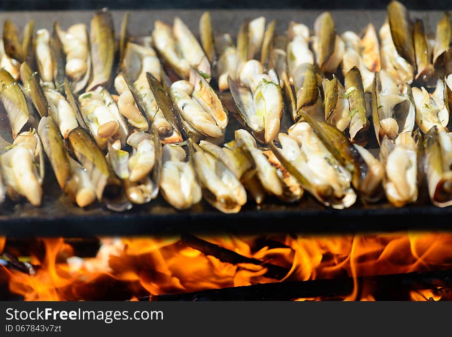 Razor Shells Grill Outside