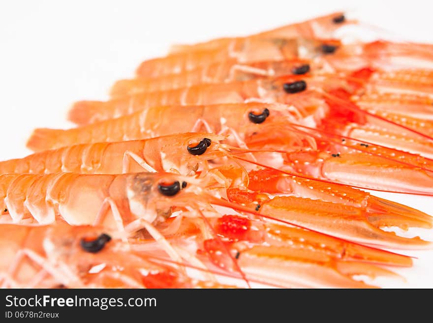 Raw Norway lobster over white surface. Raw Norway lobster over white surface.