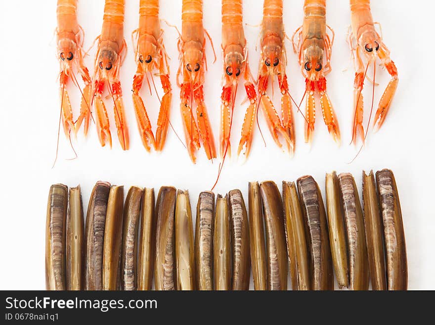 Group of fresh Norway Lobsters and Razor Shells. White backgroun