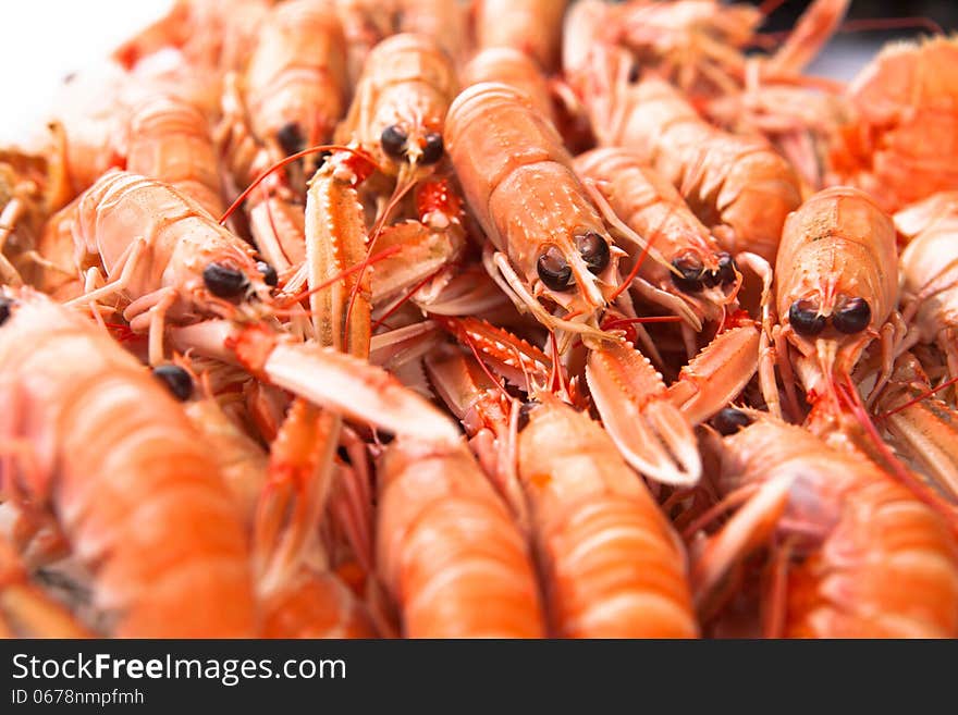 Fresh Norway lobsters close up. Soft focus.