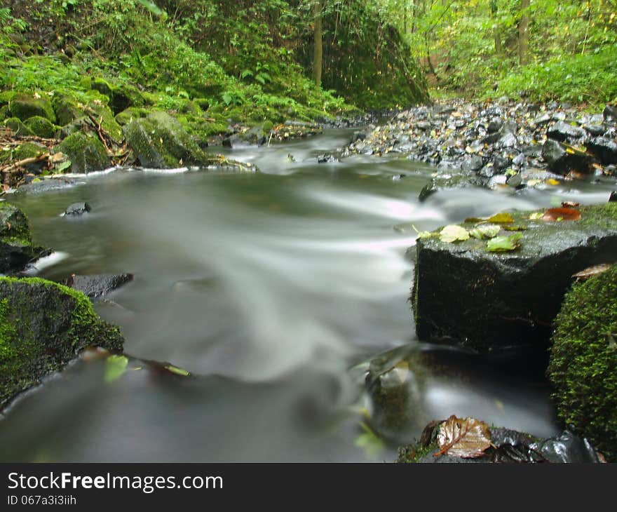 Mountain Stream In Fresh Green Leaves Forest After Rainy Day.