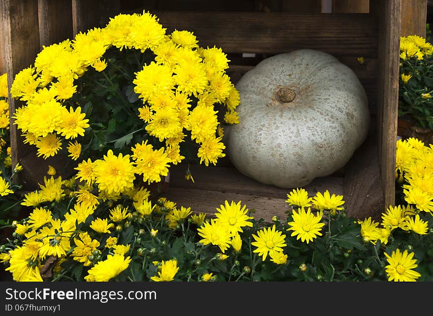 Flowers and pumpkin decoration on a wooden background