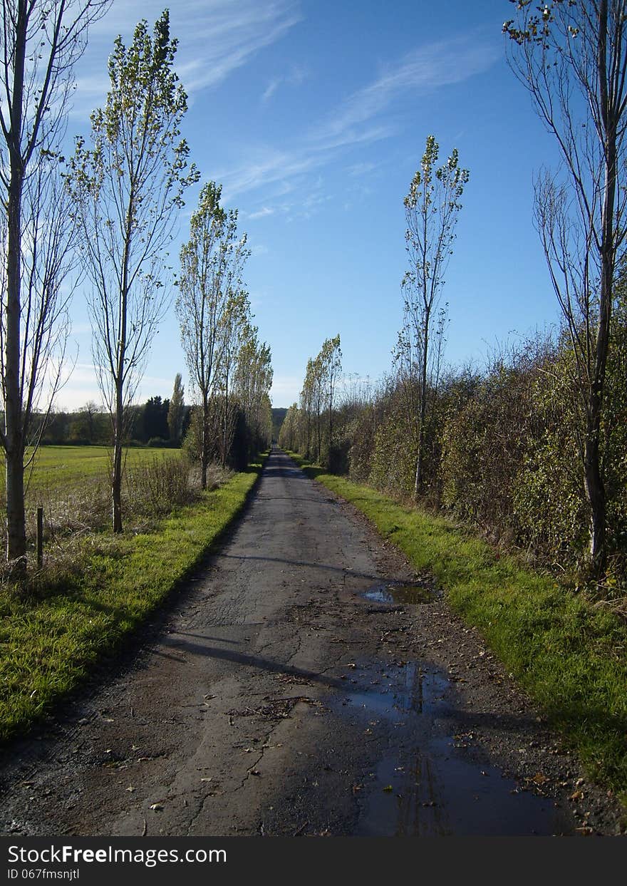 This avenue of lombardy poplar trees is a living memorial to the local soldiers who served in the First World War in Normandy. 184 trees were originally planted. This avenue of lombardy poplar trees is a living memorial to the local soldiers who served in the First World War in Normandy. 184 trees were originally planted.