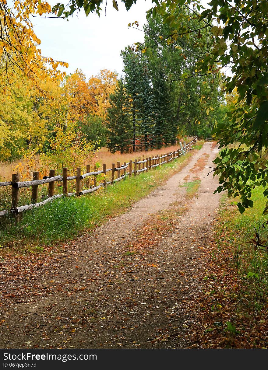 A path thru a quiet forest in Canada. A path thru a quiet forest in Canada.