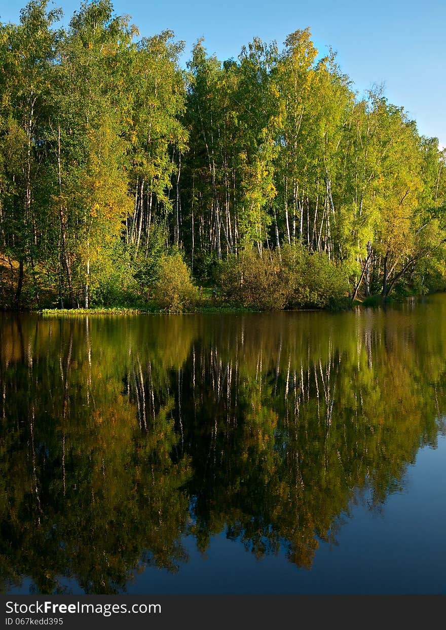 Landscape with lake in old park. Landscape with lake in old park