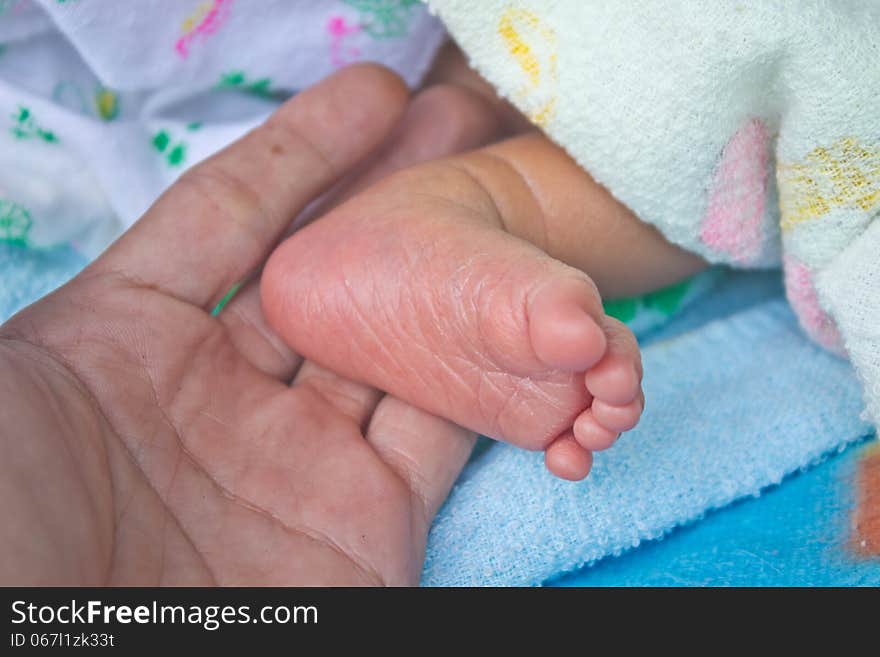 Close up newborn baby feet on female hand