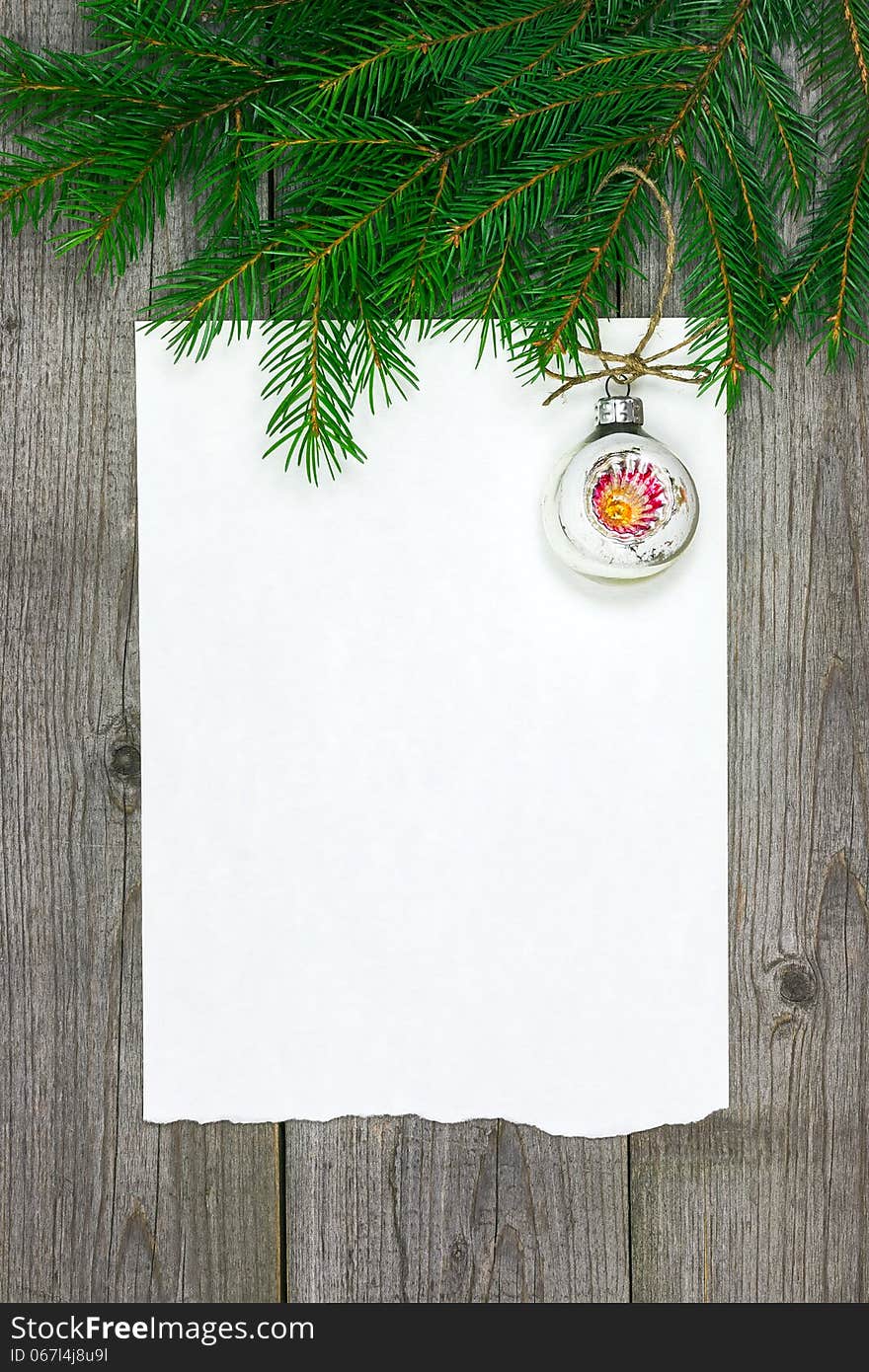 Christmas card with fir branch