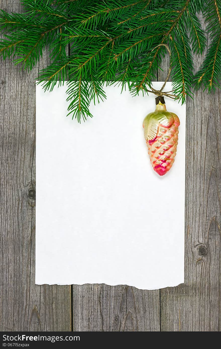 Christmas card with fir branch