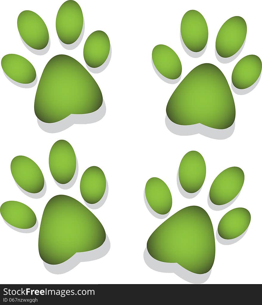 Footprint Of An Animal