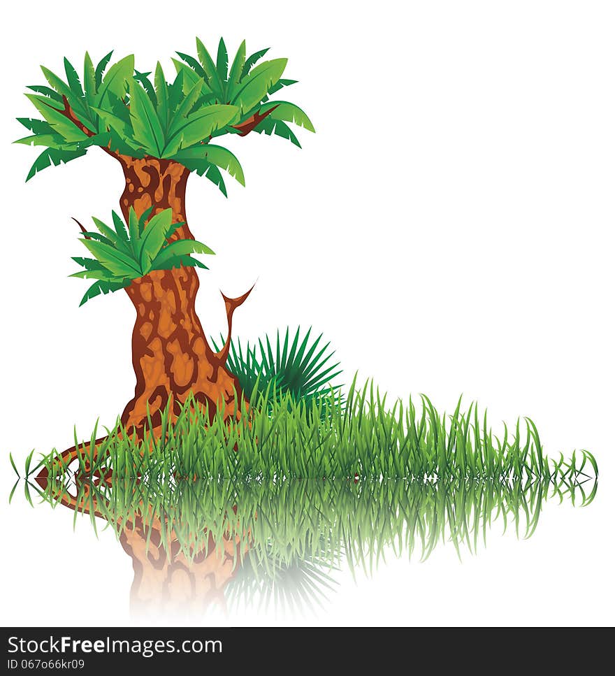 Vector illustration of reflective tree and grass on water