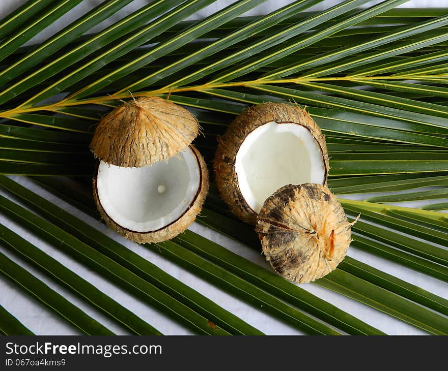 Coconut Drinks