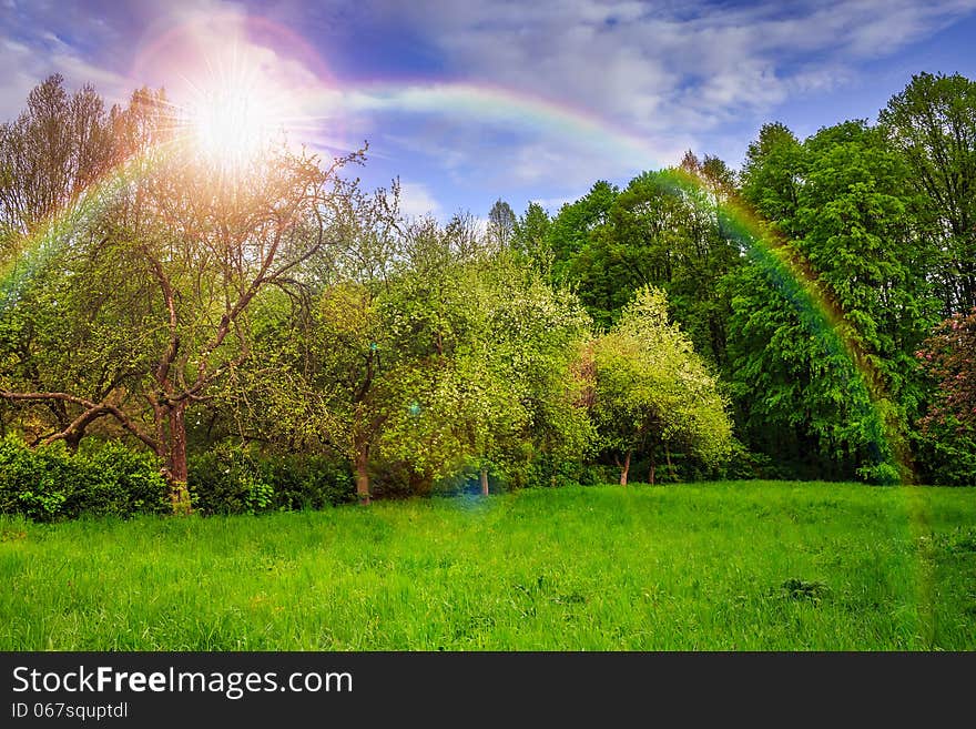 Spring landscape with trees near valley and colorful forest on hillside under blue sky with clouds. Spring landscape with trees near valley and colorful forest on hillside under blue sky with clouds