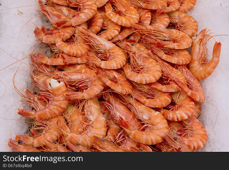 Prawns