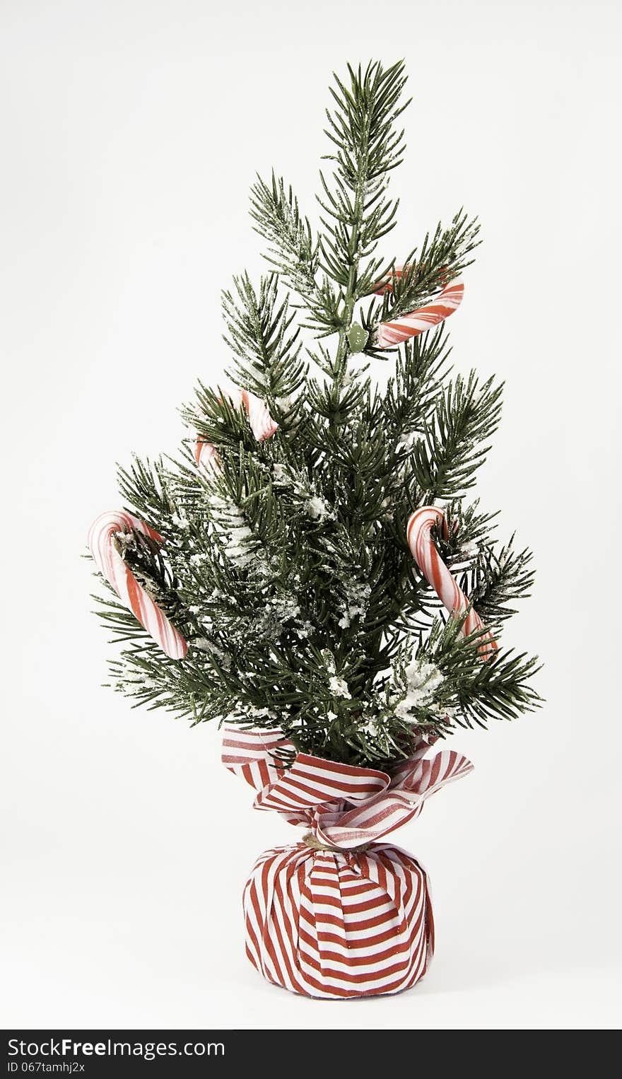 Tree decorated with peppermint sticks and a red and white striped base against a white background. Tree decorated with peppermint sticks and a red and white striped base against a white background