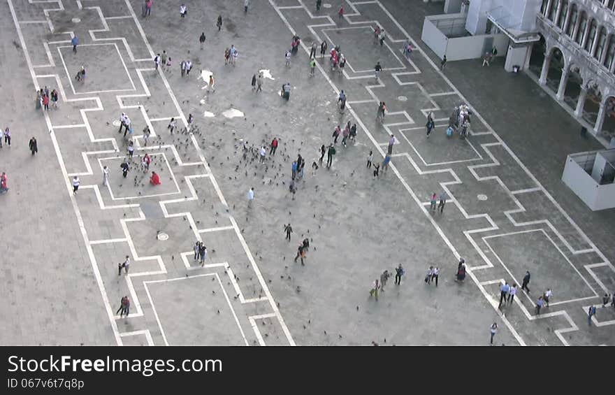 Venice. Piazza San Marco from the bird's flight. A lot of people and pigeons. Fast motion