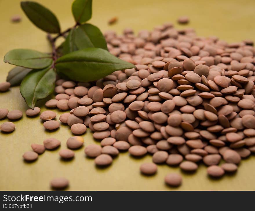 Lentils with a leaf on green background