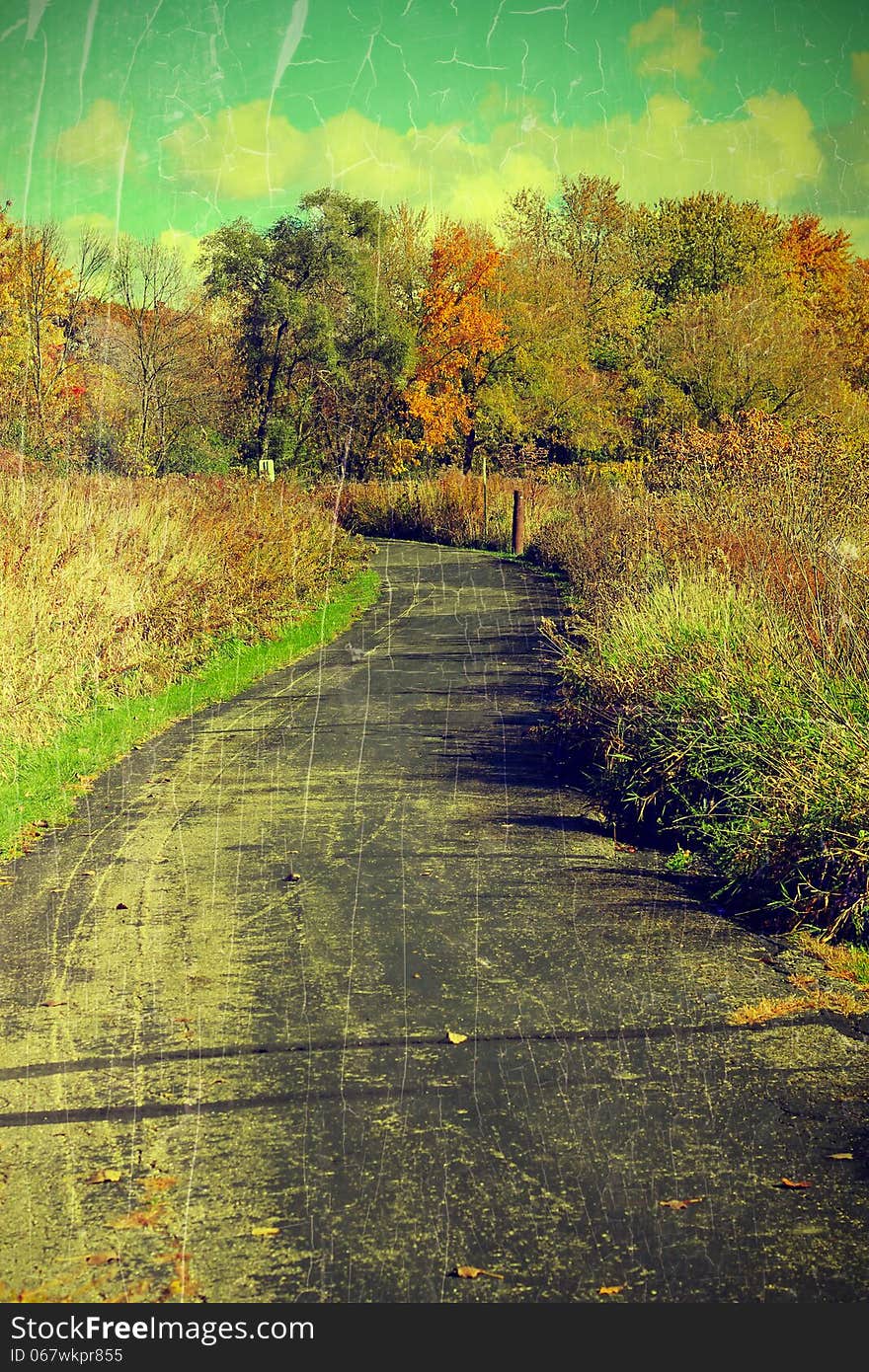 Grunge fall path in the forest