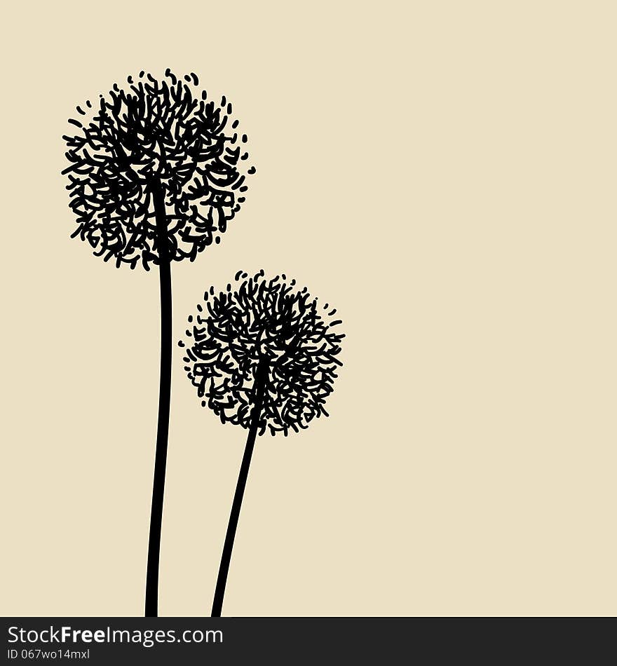 Floral Elements for design, dandelions. EPS10 Vector illustration. Floral Elements for design, dandelions. EPS10 Vector illustration