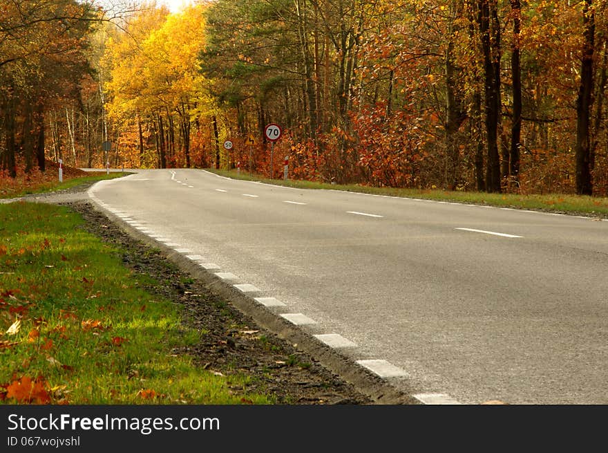 The photograph shows an asphalt road running through deciduous forest. It is autumn, the leaves took on a yellow and brown color. The photograph shows an asphalt road running through deciduous forest. It is autumn, the leaves took on a yellow and brown color.