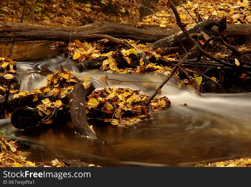 The photograph shows a small stream flowing through deciduous forest. In the picture we see the congestion created with branches and fallen leaves through which water is poured foam swift current. The photograph shows a small stream flowing through deciduous forest. In the picture we see the congestion created with branches and fallen leaves through which water is poured foam swift current.