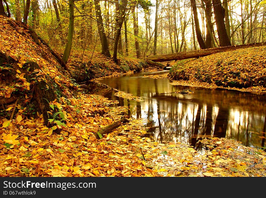 Brook In The Forest.