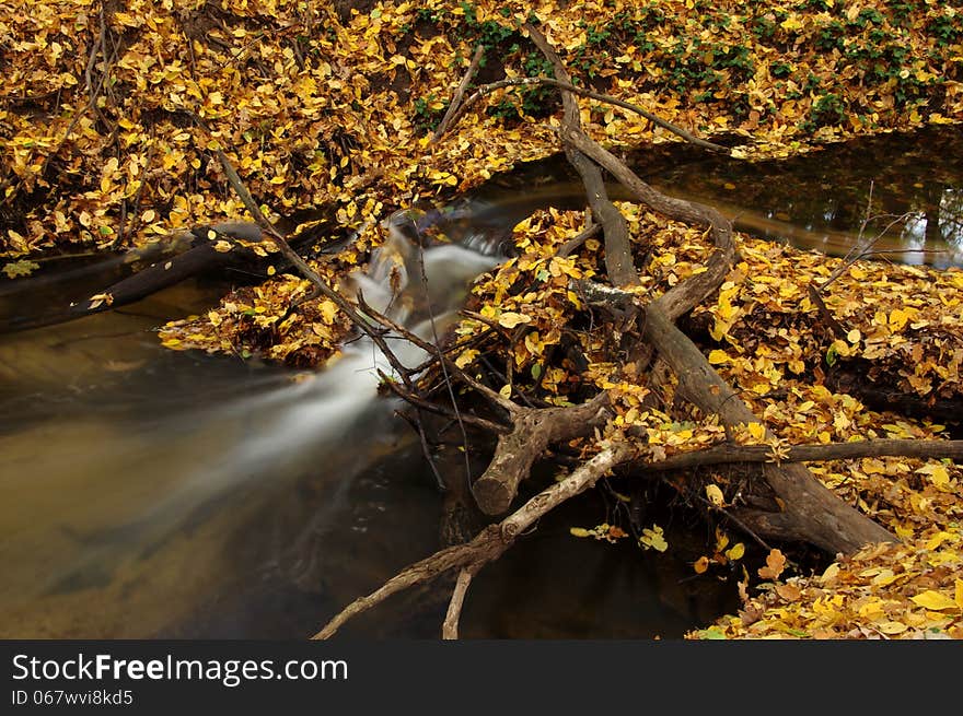 The photograph shows a small stream flowing through deciduous forest. In the picture we see the congestion created with branches and fallen leaves through which water is poured foam swift current. The photograph shows a small stream flowing through deciduous forest. In the picture we see the congestion created with branches and fallen leaves through which water is poured foam swift current.