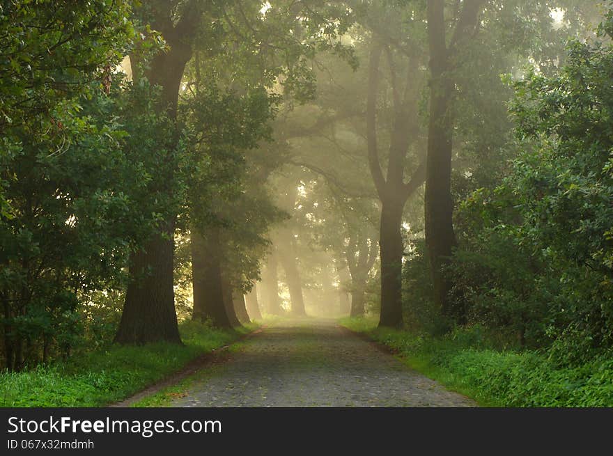 Country Road.