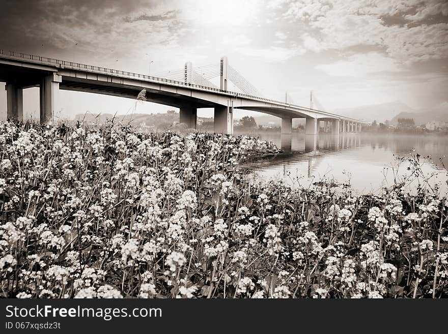 Suspension bridge landscape in monochrome