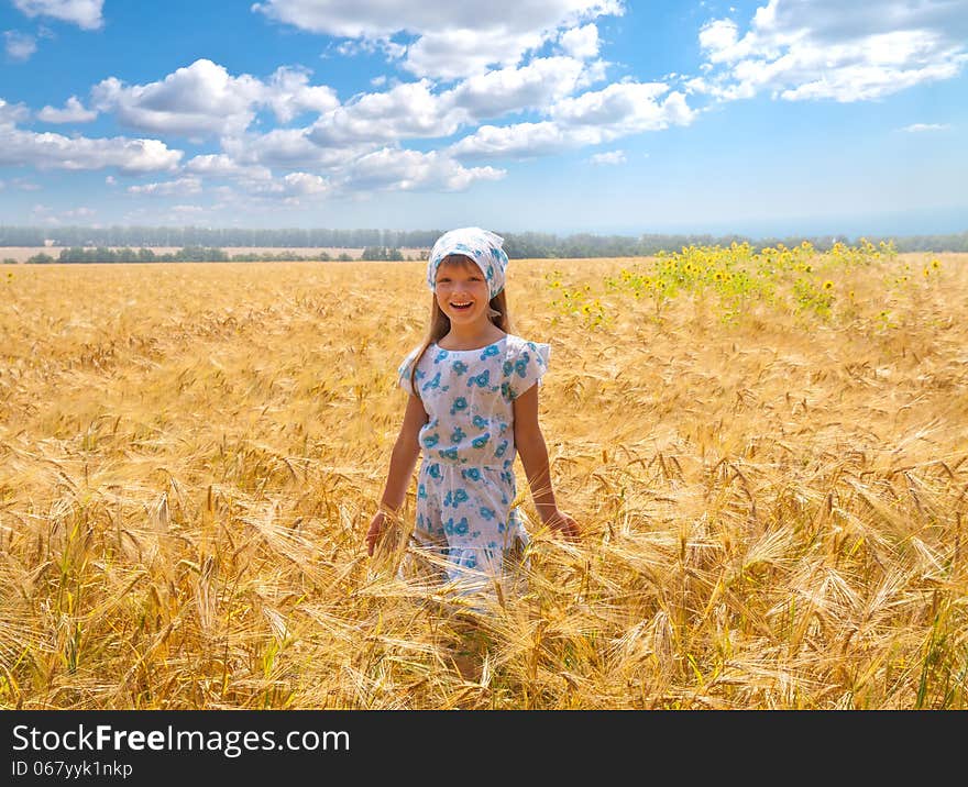 Beautiful little girl in a meadow