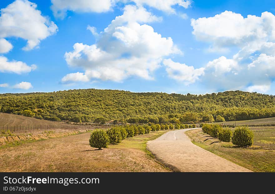 Old Country Road In Tuscany