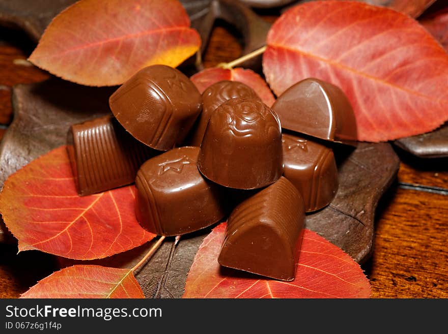 Autumn Chocolates