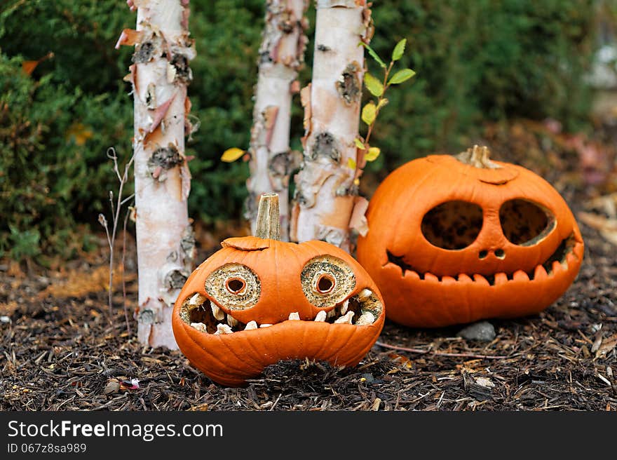 Sad halloween pumpkin head after the holiday