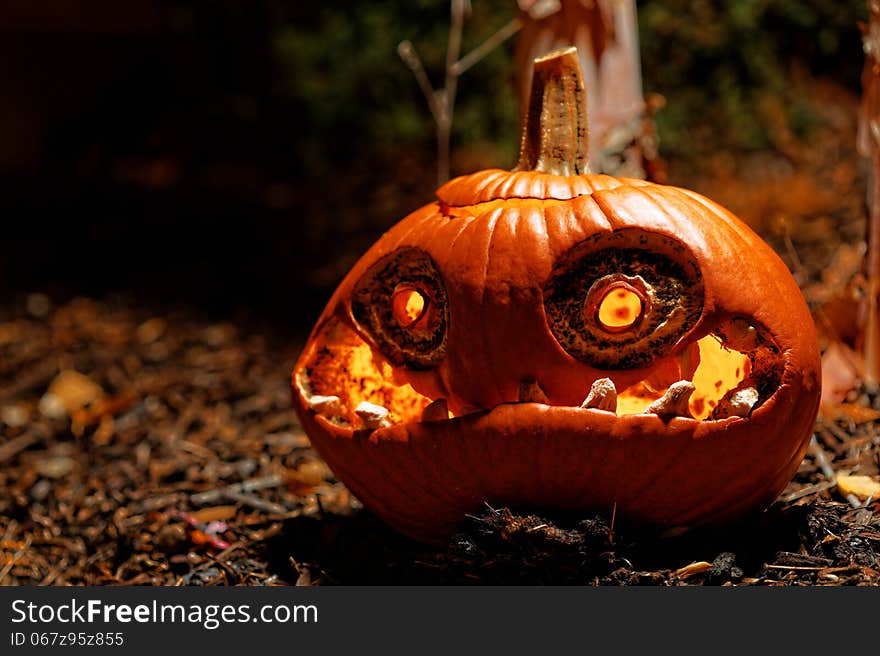 Sad halloween pumpkin head after the holiday