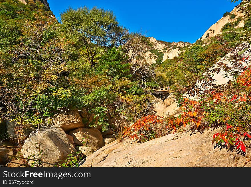 The red leaves on the hillside of Zu mountain